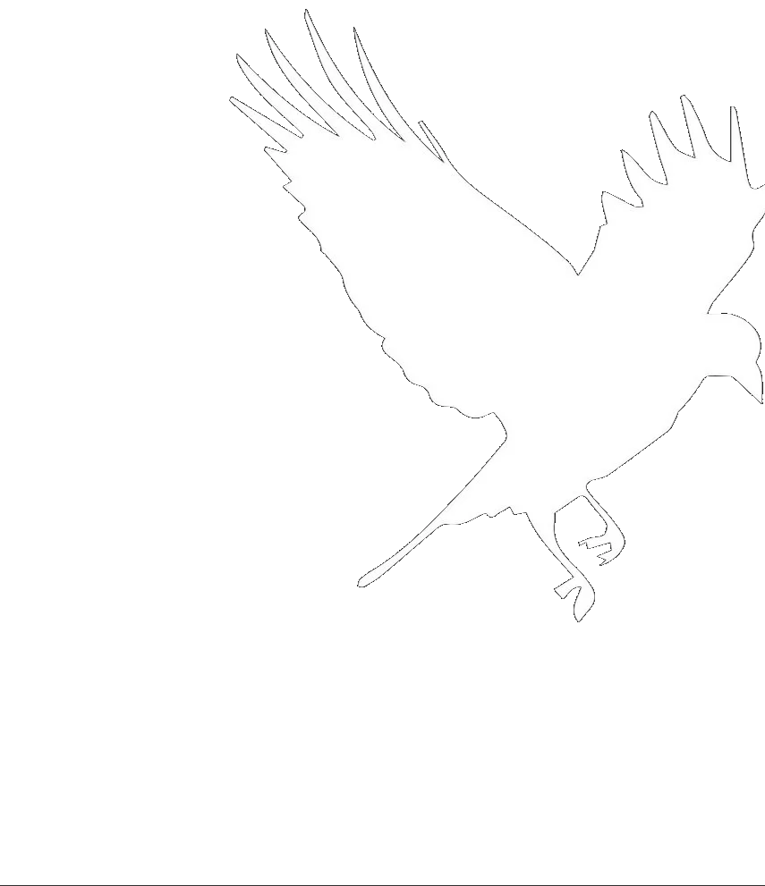 Murder of Crows Brooklyn